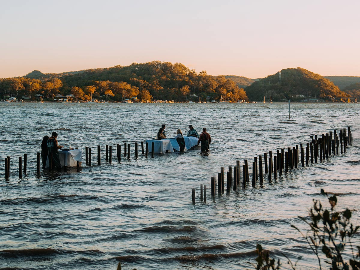 guests in the water for an experience at Sydney Oyster Farm - Central Coast food