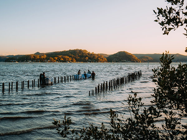 guests in the water for an experience at Sydney Oyster Farm - Central Coast food