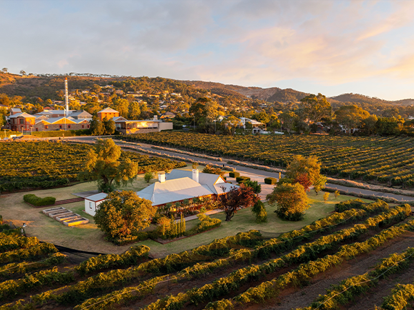 Penfolds. Airbnb autumn destinations 