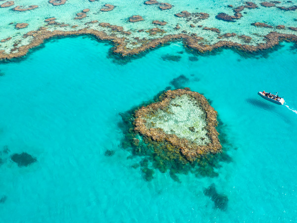 an aerial view of Heart Reef, Great Barrier Reef facts
