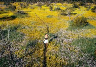 woman walking through Wildflowers, Coalseam Conservation Park