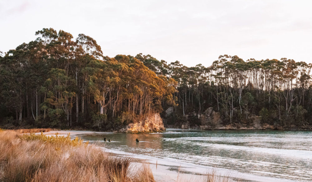 the Bruny Island in South Tasmania