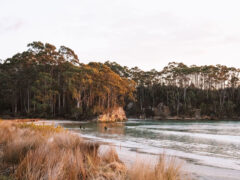 the Bruny Island in South Tasmania
