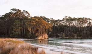 the Bruny Island in South Tasmania