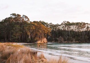 the Bruny Island in South Tasmania