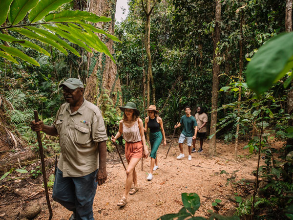 a guided Dreamtime Walk experience, Mossman Gorge Cultural Centre