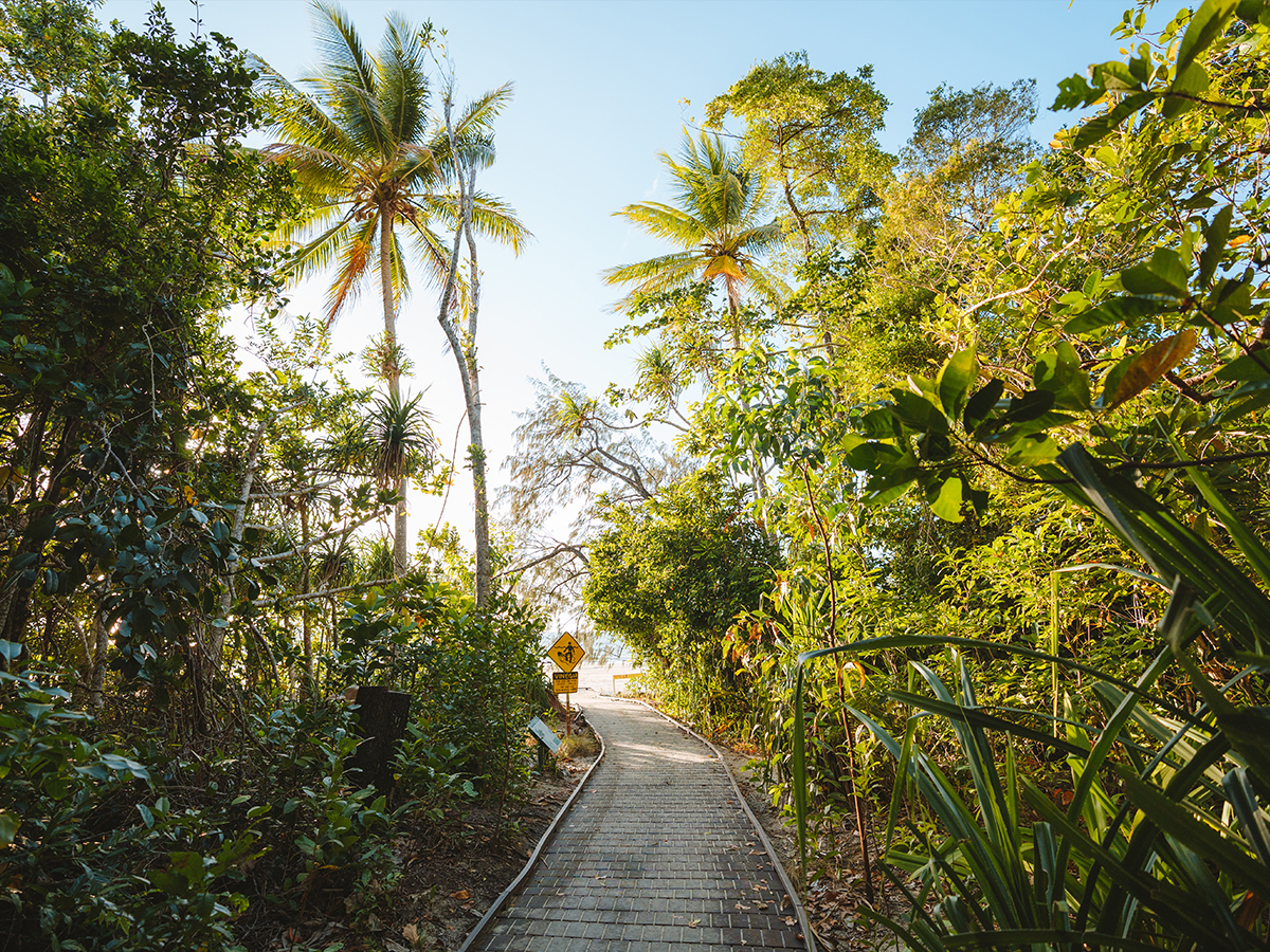 Dubuji Boardwalk through the foothills of Mount Alexandra. (Image: Tourism Australia)