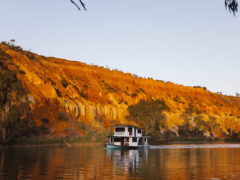cruising the Murray River