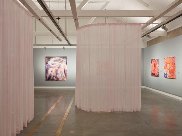 Sarah Drinan and Dionisia Salas Installation View Tender at Ngununggula