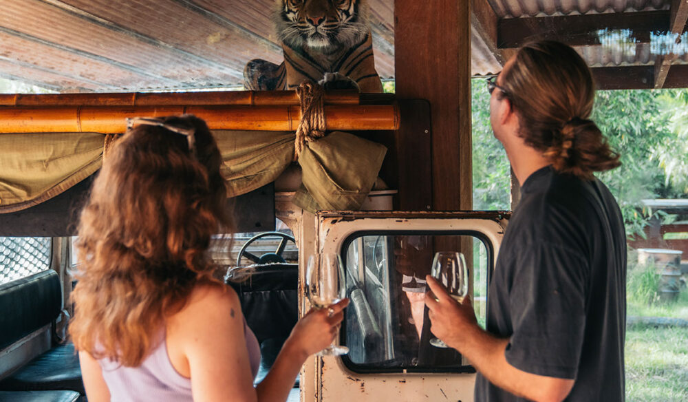 a couple holding wine on the Taronga Zoo wine safari sydney