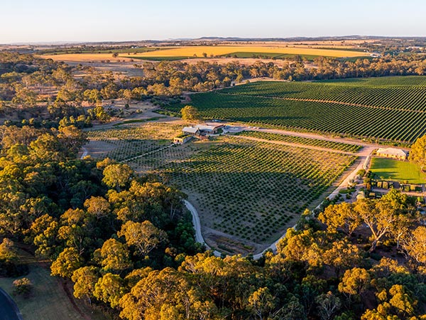 winery at barossa valley