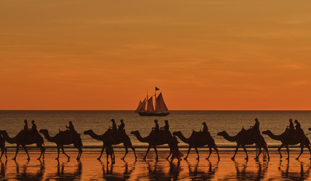 Willie Cruises, Broome, camels on Cable Beach at sunset
