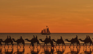 Willie Cruises, Broome, camels on Cable Beach at sunset