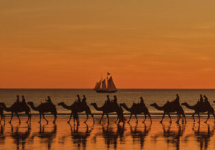 Willie Cruises, Broome, camels on Cable Beach at sunset