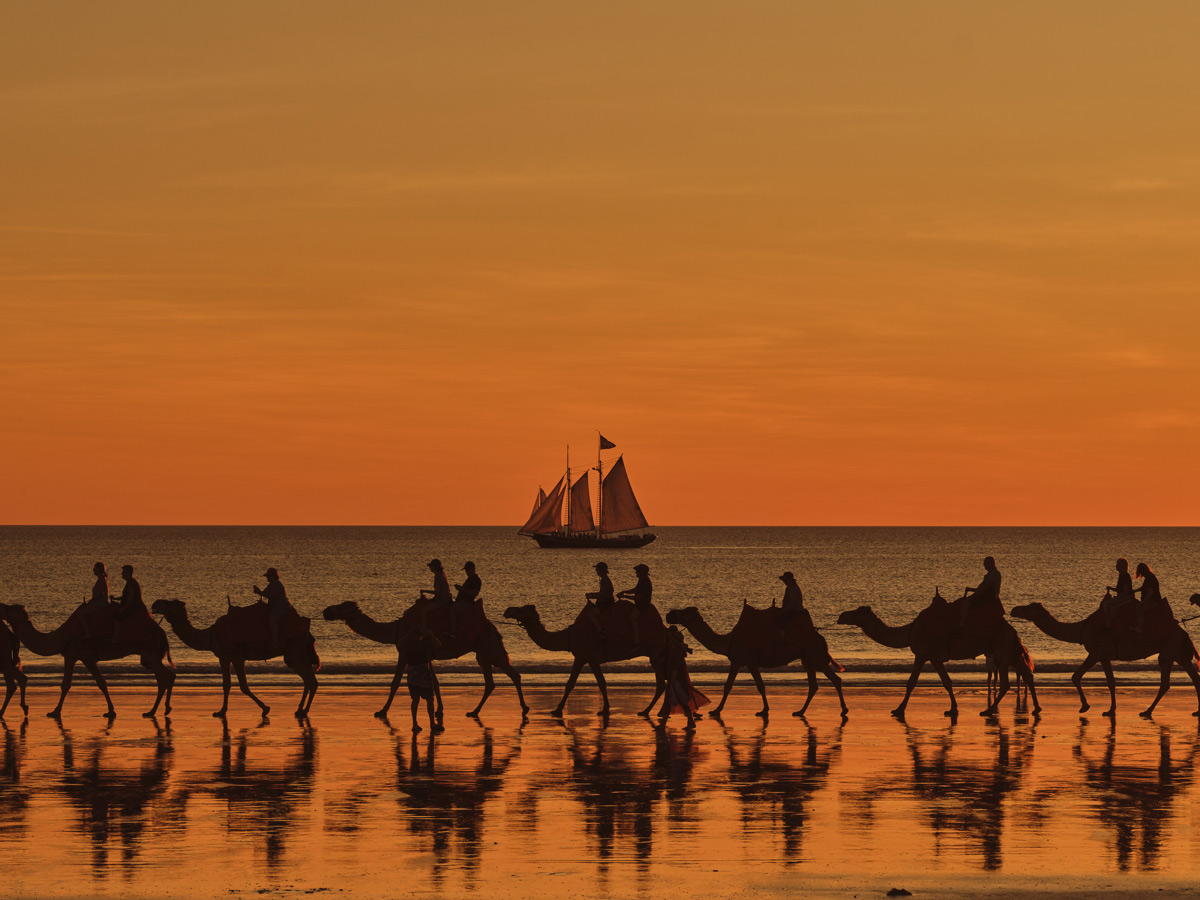 Willie Cruises, Broome, camels on Cable Beach at sunset