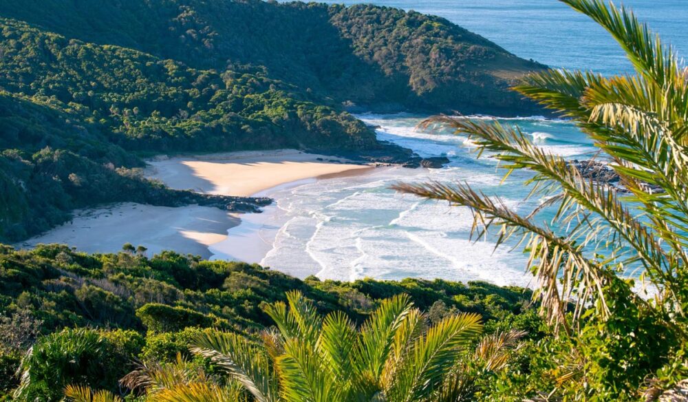 Views of North Smoky Beach from Smoky Cape Lighthouse in Hat Head National Park, Arakoon