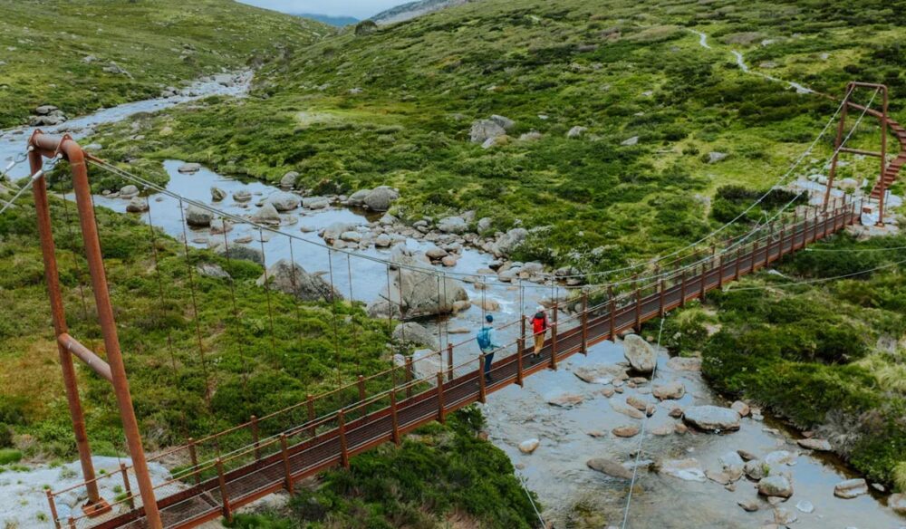 Spencers Creek Suspension Bridge on the Snowies Alpine Walk