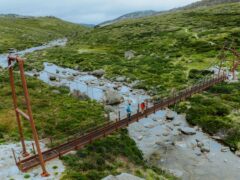 Spencers Creek Suspension Bridge on the Snowies Alpine Walk