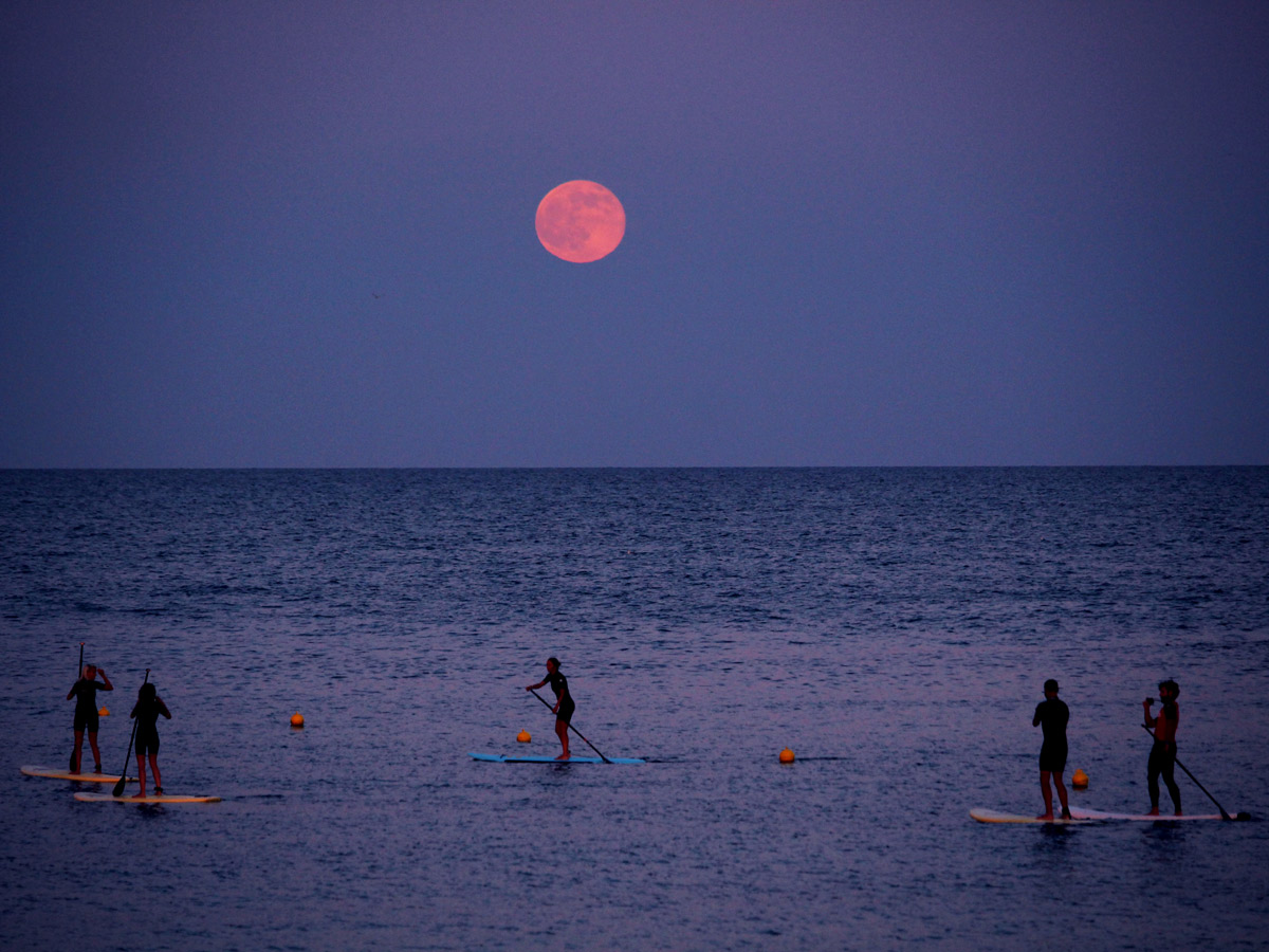 Standup paddleboarders under the strawberry moon at Barceloneta beach