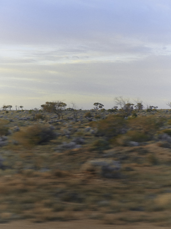 Indian Pacific On Train View Nullarbor