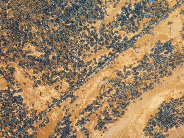 Indian Pacific Experience Cook SA