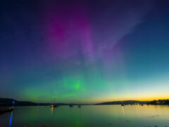 The Aurora Australis in Tasmania.