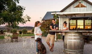 pet friendly towns