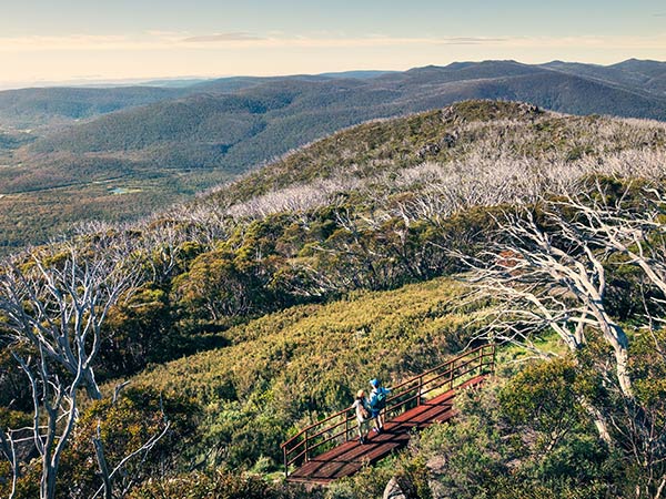 Snowies Alpine Walk