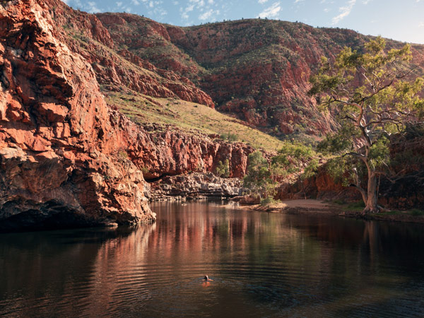 swimming at Ormiston Gorge, West MacDonnell Ranges