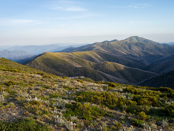 the Victorian Alps on a Great Alpine Road trip