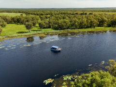 cruising the Arafura Swamp with Outback Spirit, Arnhem Land