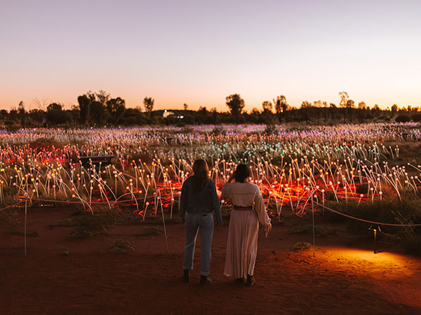 two people in front of the field of light
