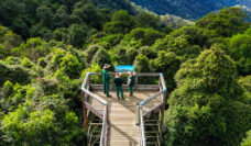 Sky-high views, shared with good company.