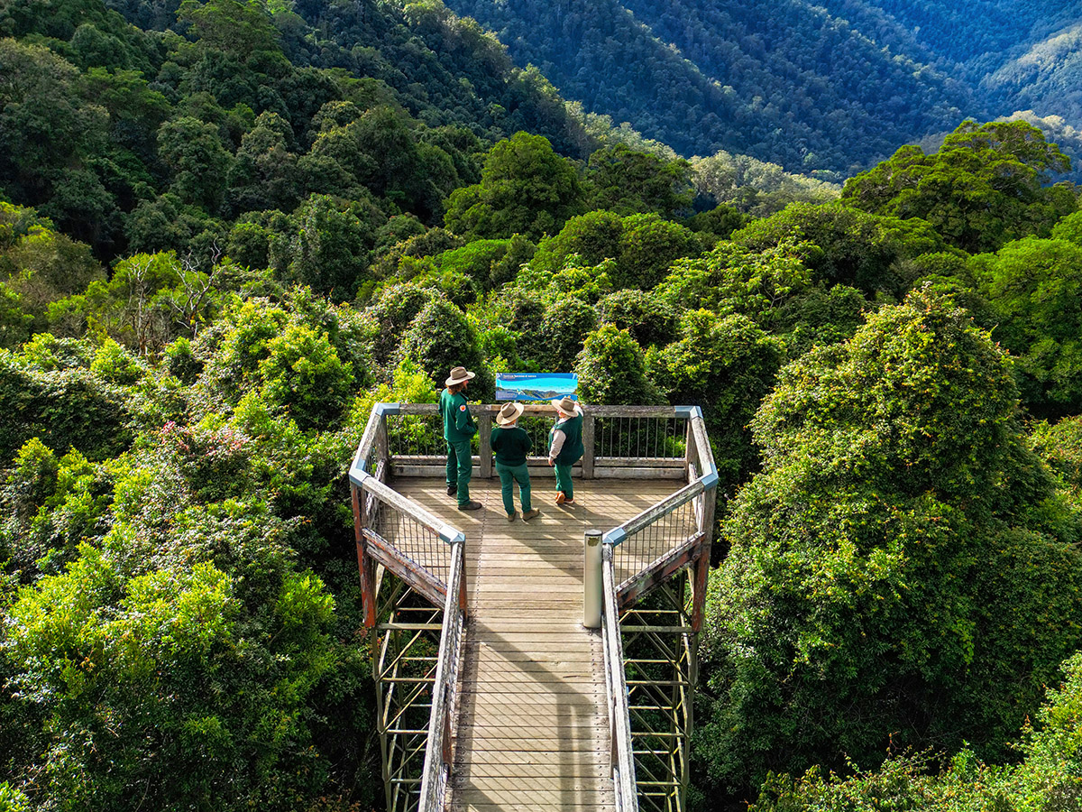 Sky-high views, shared with good company.