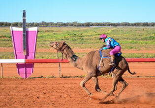Desert Champions Way: Outback Camel Trail