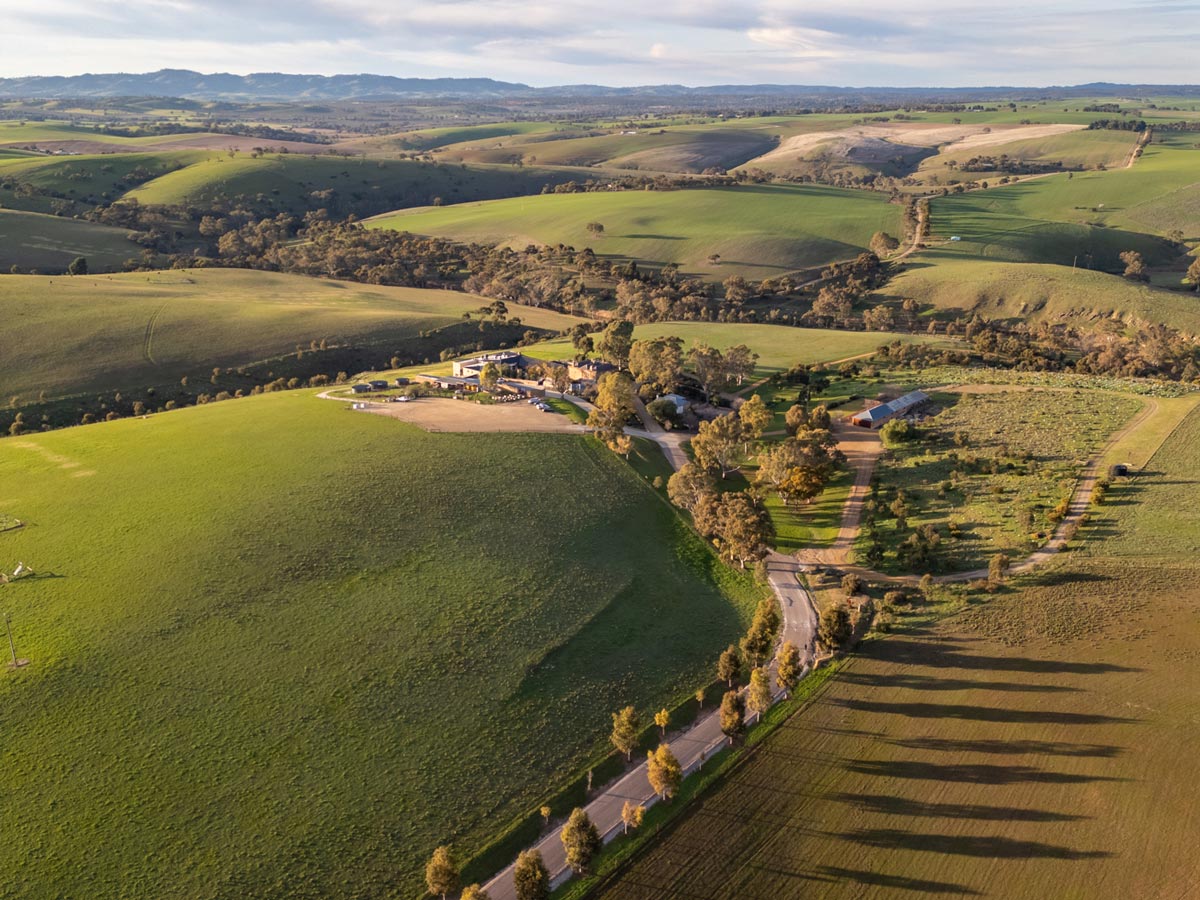 An aerial view of the rolling fields at Kingsford The Barossa.