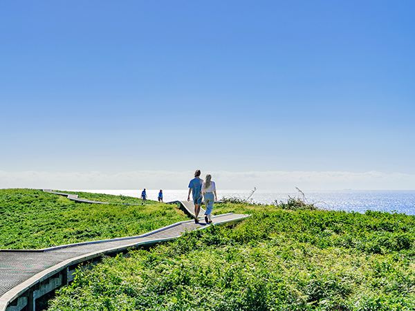 walk to muttonbird island from coffs harbour