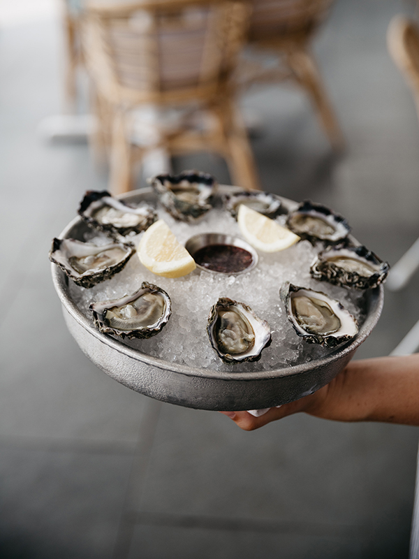 A plate of fresh oysters.