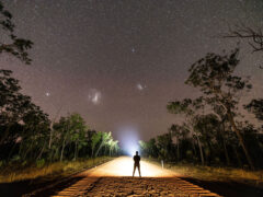 a person standing on the Savannah Way under the stars