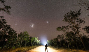 a person standing on the Savannah Way under the stars
