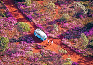 a van parked in a field of wildflowers in WA