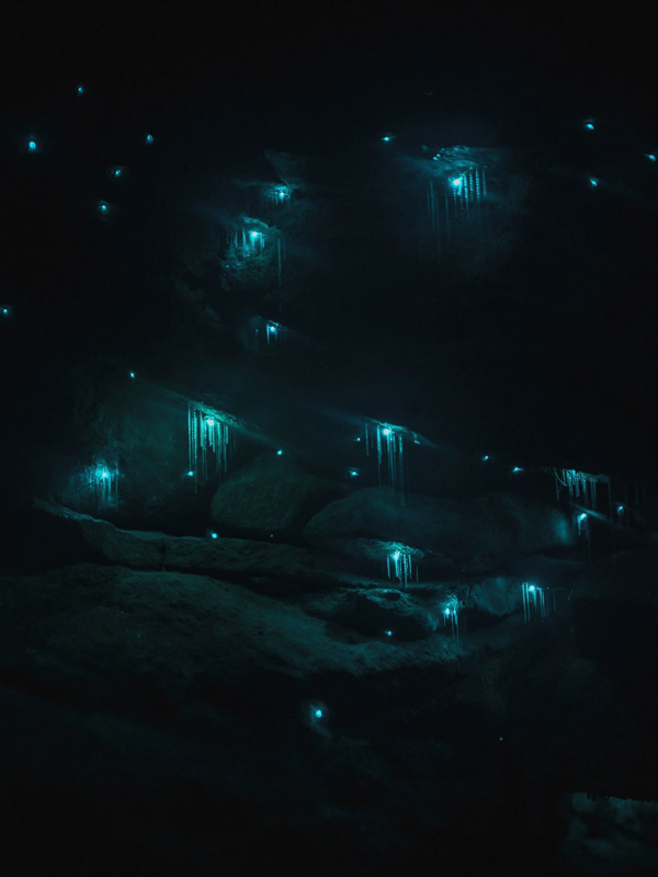 glow worms inside Wollemi National Park, NSW