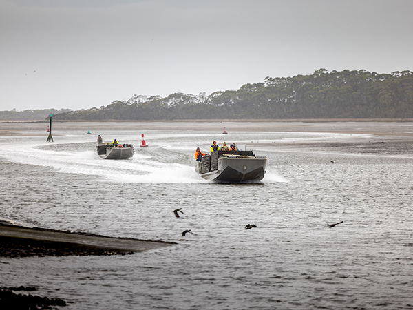 Tarkine Oysters