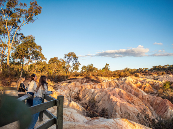 The Pink Cliffs Geological Reserve in Heathcote, Vic