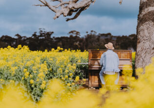 man playing piano in the middle of Cornella Canola Walk