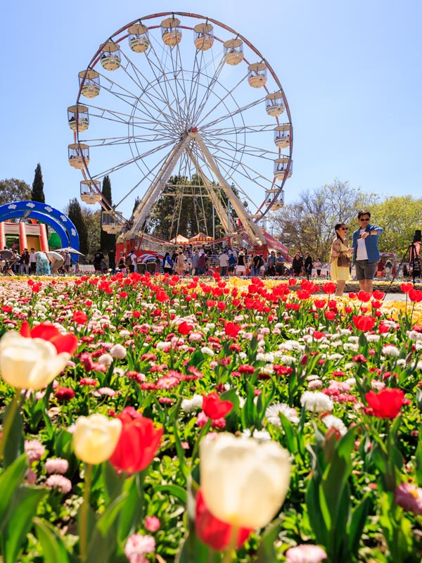 Floriade festival with flowers and Ferris wheel