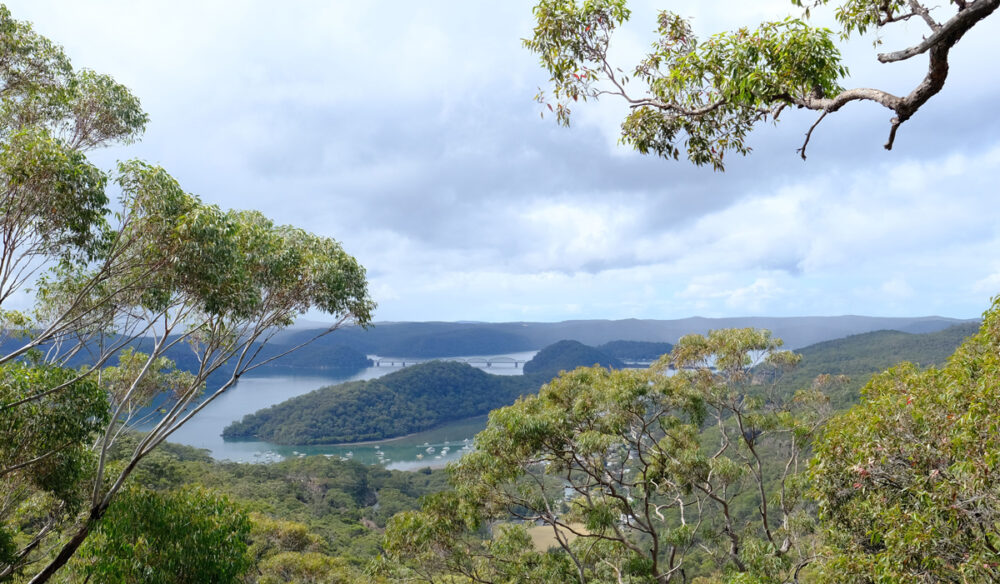 This nature reserve near Sydney is open for just 6 weeks a year