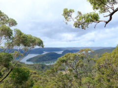 This nature reserve near Sydney is open for just 6 weeks a year