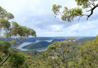 This nature reserve near Sydney is open for just 6 weeks a year