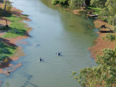 Gunbower Forest in rural Victoria, known as the Kakadu of the South